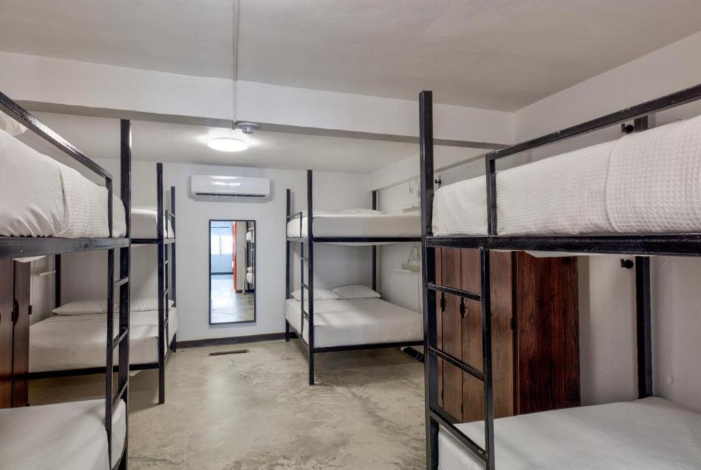 Bed in 8-Bed Dormitory Room,1290989071:JPEG